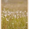 Summer Fileds Plakat (21x29.7 cm (A4))