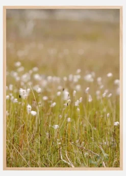 Summer Fileds Plakat (21x29.7 cm (A4))