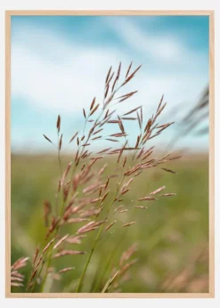 Summerday Plakat (21x29.7 cm (A4))