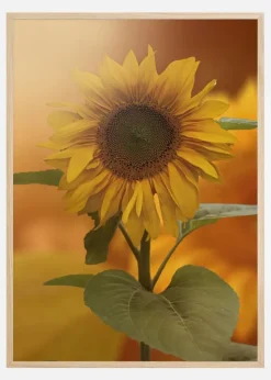 Sunflower Plakat (21x29.7 cm (A4))
