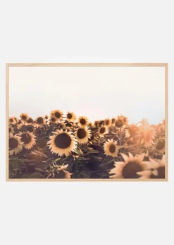 Sunflowers Plakat (21x29.7 cm (A4))