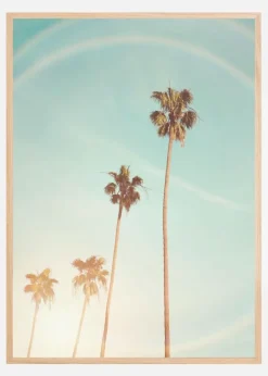 Sunny Cali Palm Tree Plakat (21x29.7 cm (A4))