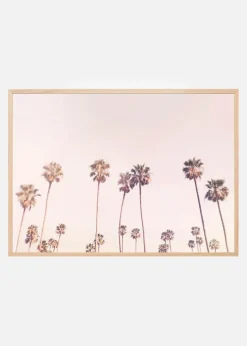 Sunny Cali Palm Trees Plakat (21x29.7 cm (A4))