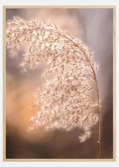 Sunny Field Plakat (21x29.7 cm (A4))