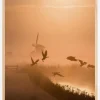 Sunrise Flight Plakat (21x29.7 cm (A4))