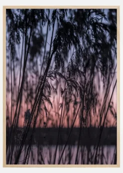 Sunrise Plakat (21x29.7 cm (A4))