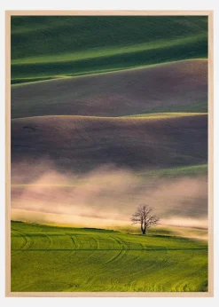 Sunset in Palouse Plakat (21x29.7 cm (A4))