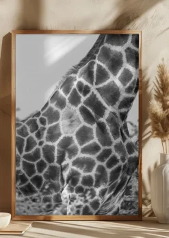 Super Safari No3 Plakat (21x29.7 cm (A4))