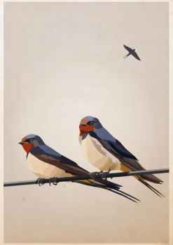 Swallows Plakat (21x29.7 cm (A4))