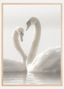 Swan Forever Plakat (21x29.7 cm (A4))
