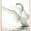 Swan Plakat (21x29.7 cm (A4))