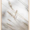 Swaying Reed I Plakat (21x29.7 cm (A4))