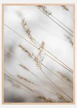 Swaying Reed I Plakat (21x29.7 cm (A4))