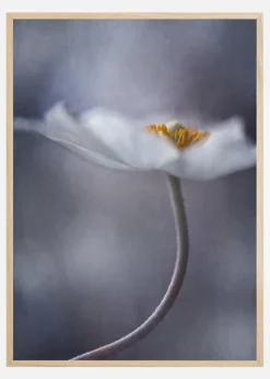 The Beauty Within Plakat (21x29.7 cm (A4))