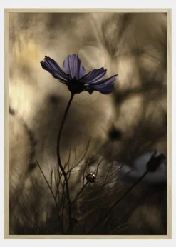 The Dancing Queen Plakat (21x29.7 cm (A4))