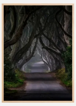 The Dark Hedges Magic road Plakat (21x29.7 cm (A4))