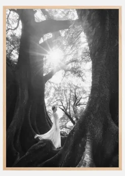 The Daughter Of Trees Plakat (21x29.7 cm (A4))