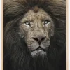 The Lion Stare Plakat (21x29.7 cm (A4))