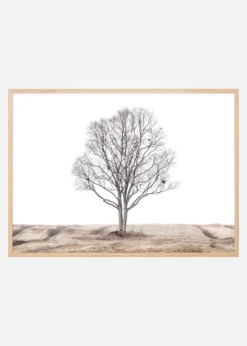 The lonely tree Plakat (21x29.7 cm (A4))