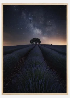 The Lonely Tree Plakat (21x29.7 cm (A4))