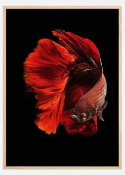 The Red Plakat (21x29.7 cm (A4))