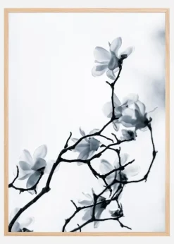 The White Queen Plakat (21x29.7 cm (A4))