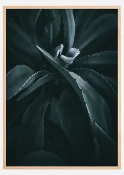 Thorny Flower Plakat (21x29.7 cm (A4))