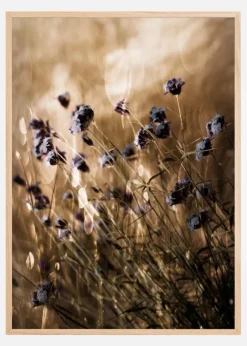 To Be Free In Light Plakat (21x29.7 cm (A4))