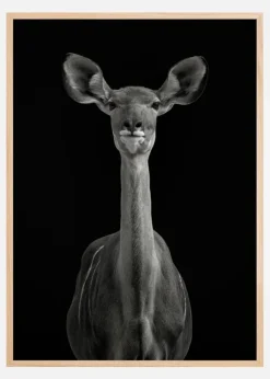 To Be Standing To Attention Plakat (21x29.7 cm (A4))