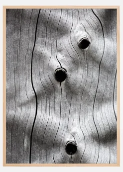 Tree Trunk Plakat (21x29.7 cm (A4))