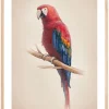 Tropical Parrot Plakat (21x29.7 cm (A4))