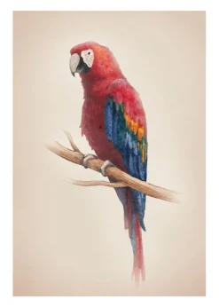 Tropical Parrot Plakat (21x29.7 cm (A4))