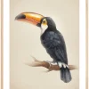 Tropical Toucan Plakat (21x29.7 cm (A4))