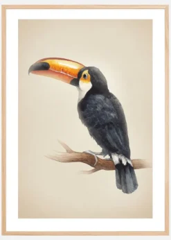 Tropical Toucan Plakat (21x29.7 cm (A4))