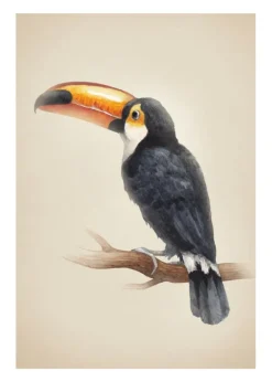 Tropical Toucan Plakat (21x29.7 cm (A4))