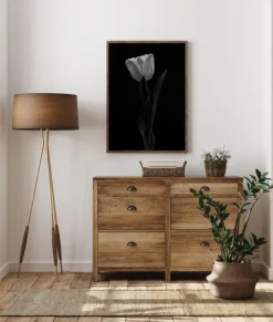 Tulip Plakat (21x29.7 cm (A4))