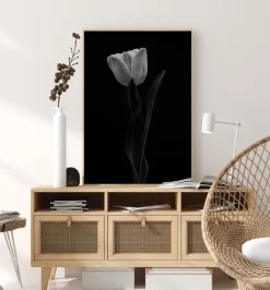 Tulip Plakat (21x29.7 cm (A4))