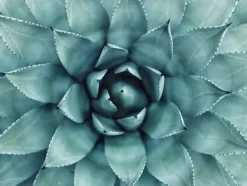 Turkis Blomst Plakat (30x40 cm)