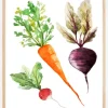 Veggies Plakat (21x29.7 cm (A4))