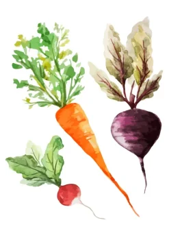 Veggies Plakat (21x29.7 cm (A4))