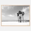 Venice Beach Ocean Plakat (21x29.7 cm (A4))