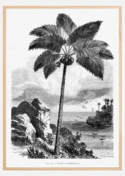 Vintage Palm Tree Drawing I Plakat (21x29.7 cm (A4))