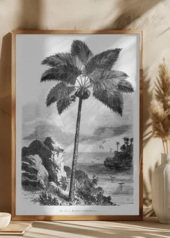 Vintage Palm Tree Drawing I Plakat (21x29.7 cm (A4))