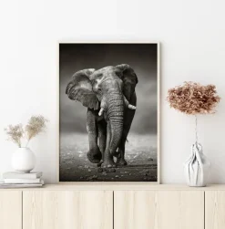 Walking Elephant Plakat (21x29.7 cm (A4))