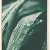 Waterdrop Plakat (21x29.7 cm (A4))