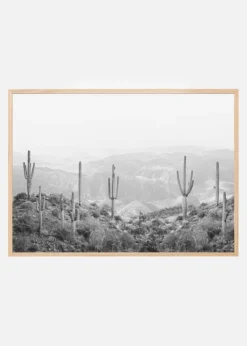 Western Cactus Plakat (21x29.7 cm (A4))