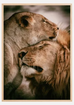 What Is Love Plakat (21x29.7 cm (A4))