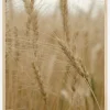 Wheat Field Plakat (21x29.7 cm (A4))