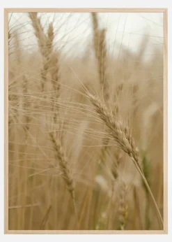 Wheat Field Plakat (21x29.7 cm (A4))