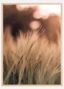 Wheat Fields I Plakat (21x29.7 cm (A4))